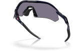 OAKLEY Radar Plate Polished Navy Prizm Grey