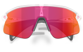 Oakley Stunt Devil Matte Clear Prizm Field
