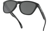 OAKLEY Frogskins Polished Black Prizm Black