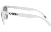 Päikeseprillid OAKLEY Frogskins 35th Anniversary Polished White Prizm Grey