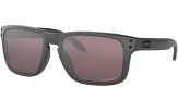 P&auml;ikeseprillid OAKLEY Holbrook erimudelid "Steel Collection" Prizm Daily Polarized