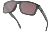 P&auml;ikeseprillid OAKLEY Holbrook erimudelid "Steel Collection" Prizm Daily Polarized