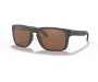 Päikeseprillid OAKLEY Holbrook XL Woodgrain Prizm Tungsten Polarized Woodgrain Prizm Tungsten Polarized